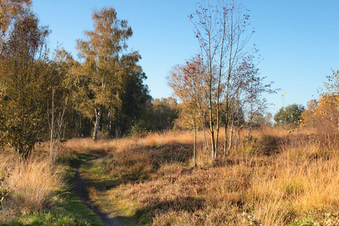 Natur pur